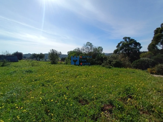 Terreno para Venda em Monsanto Foto 6