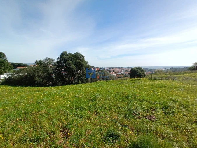 Terreno para Venda em Monsanto Foto 2