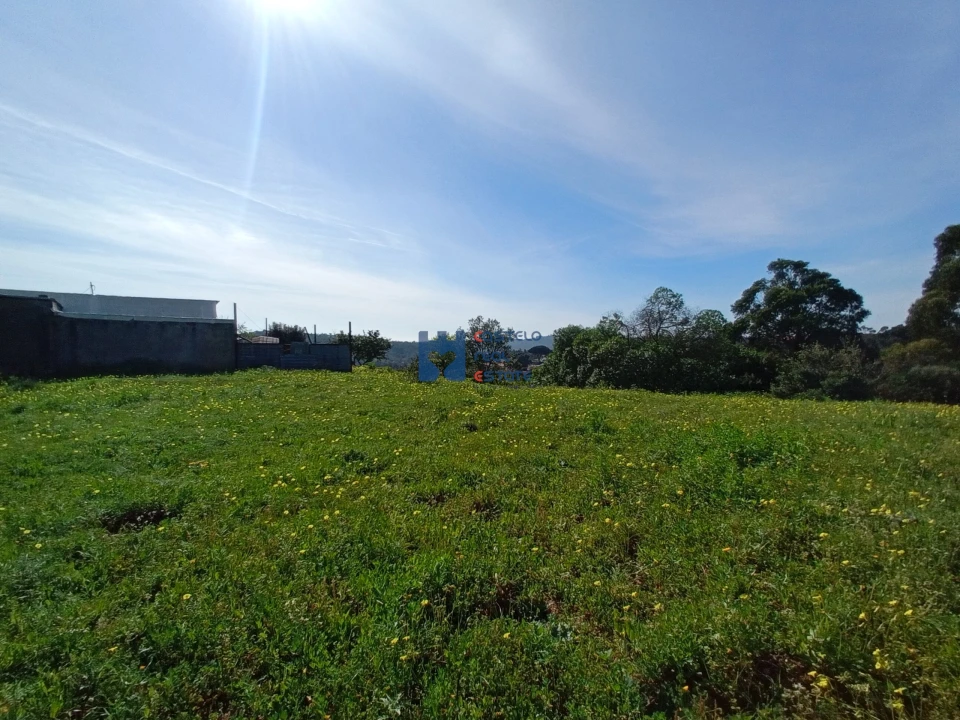 Terreno para Venda em Monsanto Foto 4