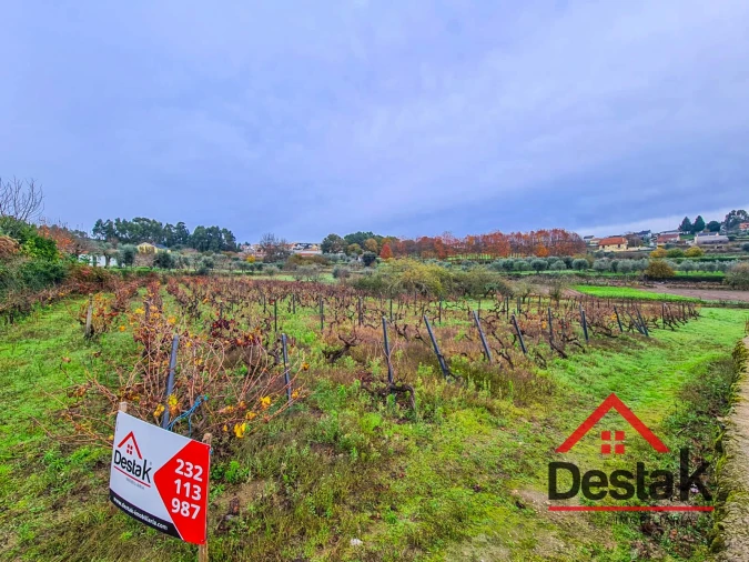 Terreno Agricola ou Rústico para Venda em Rio de Moinhos Foto 2