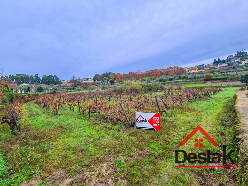 Terreno Agricola ou Rústico para Venda em Rio de Moinhos Foto 1