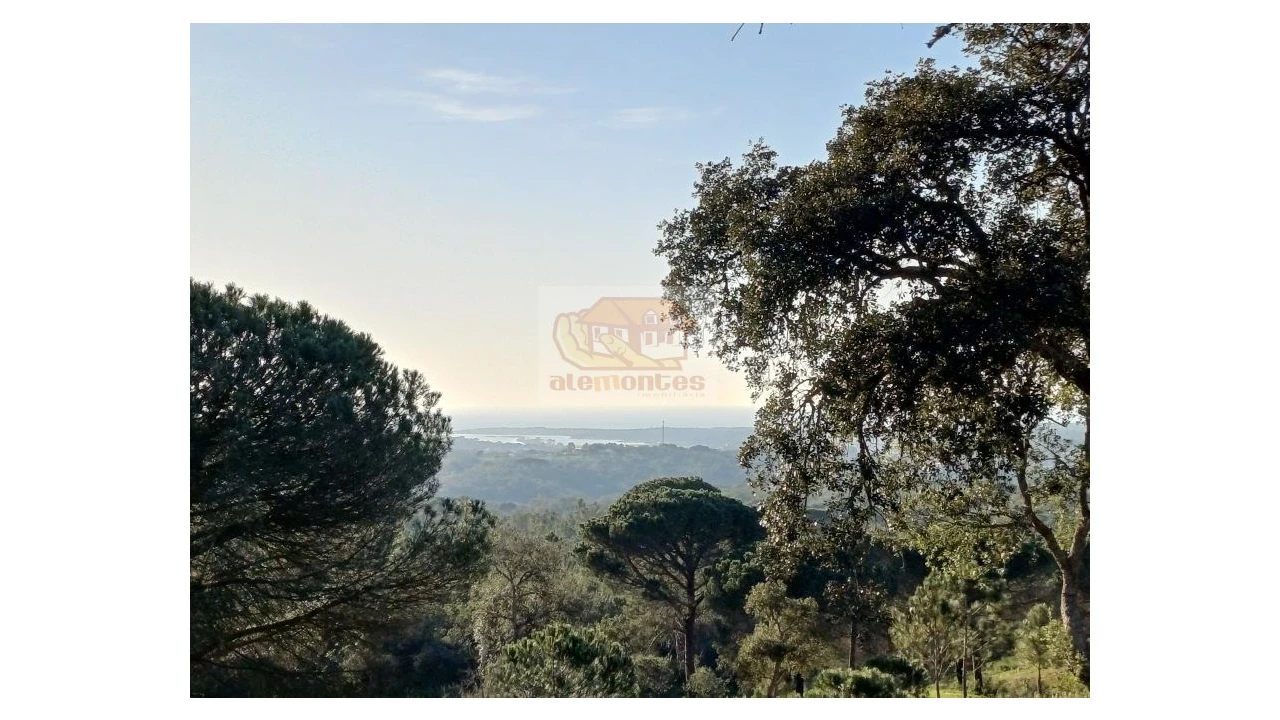 Terreno Agricola ou Rústico para Venda em Melides Foto 1