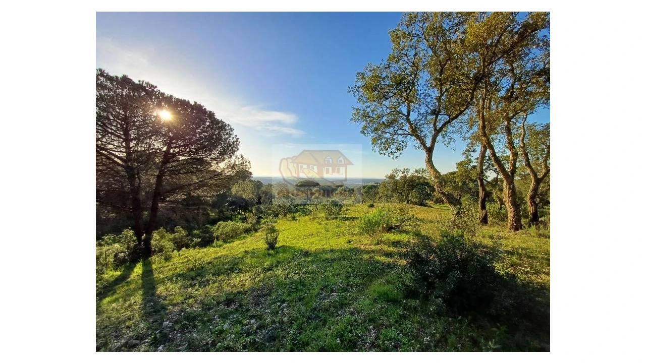 Terreno Agricola ou Rústico para Venda em Melides Foto 2
