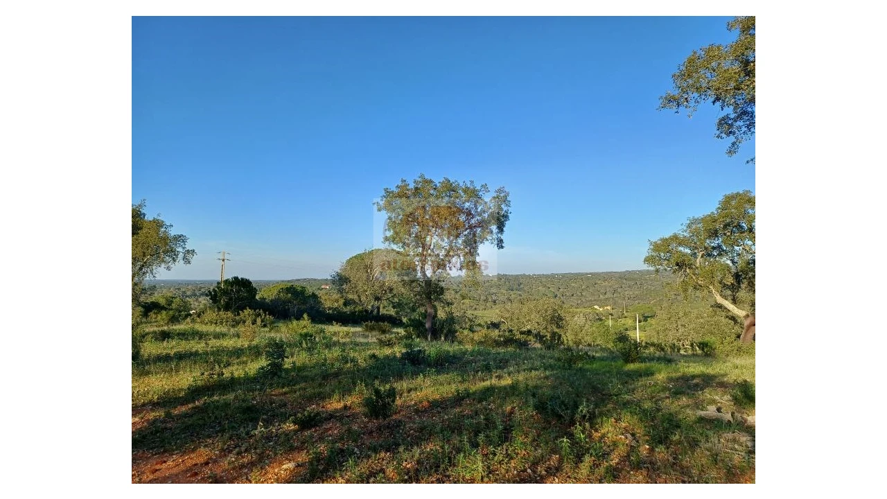 Terreno Agricola ou Rústico para Venda em Melides Foto 5