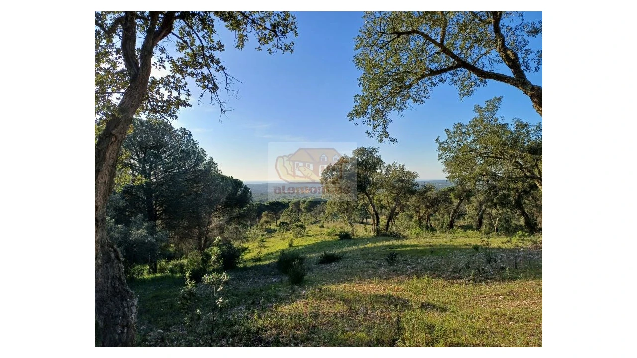 Terreno Agricola ou Rústico para Venda em Melides Foto 7