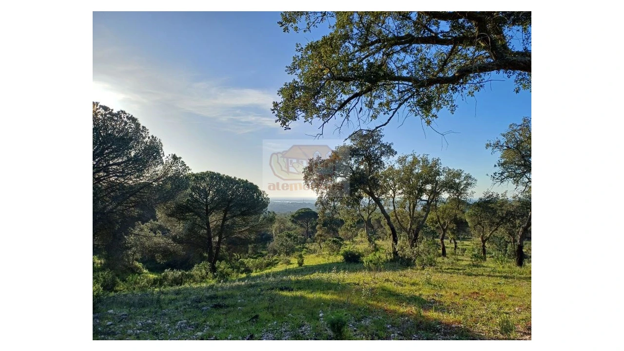 Terreno Agricola ou Rústico para Venda em Melides Foto 8