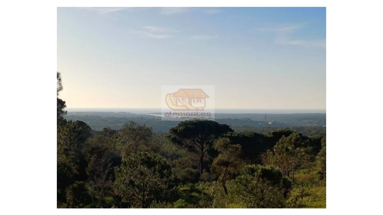 Terreno Agricola ou Rústico para Venda em Melides Foto 9