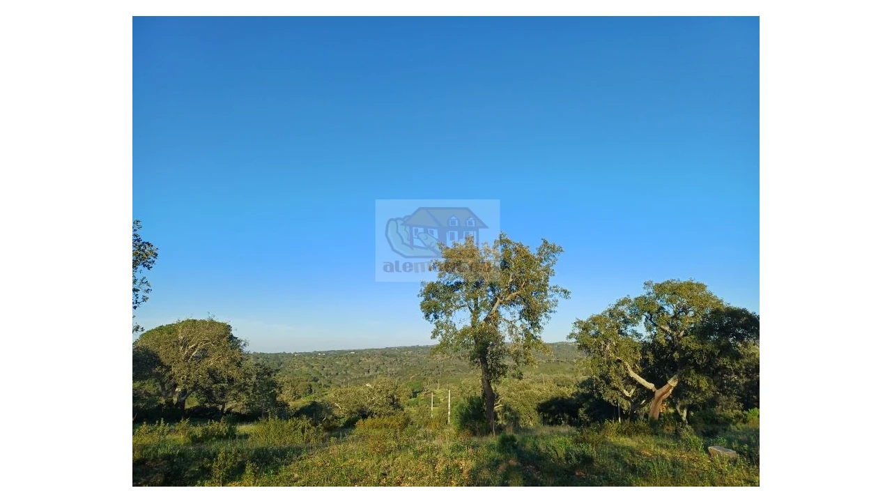 Terreno Agricola ou Rústico para Venda em Melides Foto 10