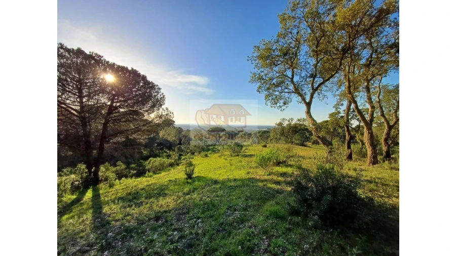Terreno Agricola ou Rústico para Venda em Melides Foto 2