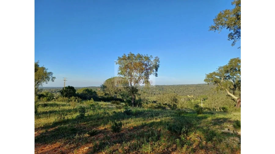 Terreno Agricola ou Rústico para Venda em Melides Foto 5