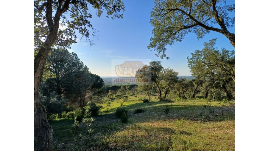 Terreno Agricola ou Rústico para Venda em Melides Foto 7