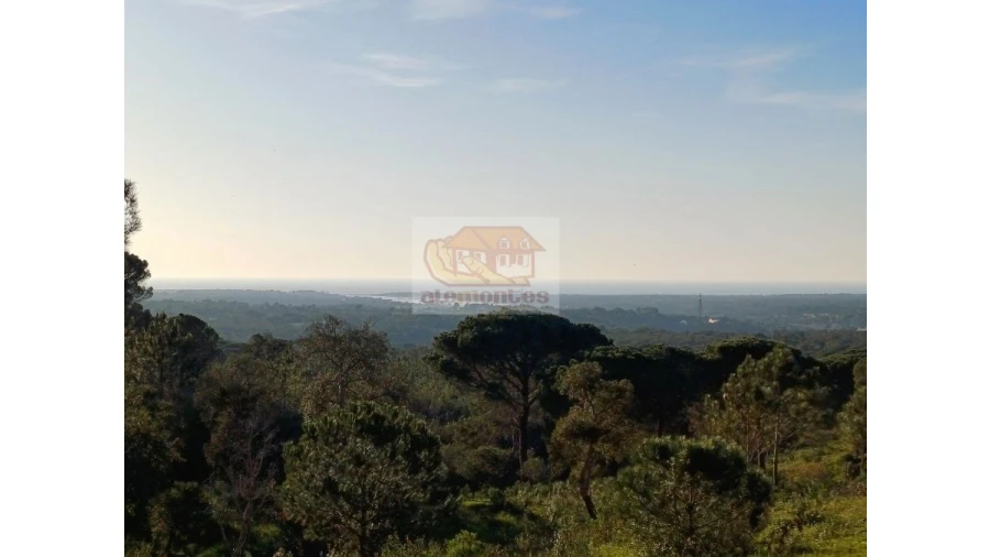 Terreno Agricola ou Rústico para Venda em Melides Foto 9
