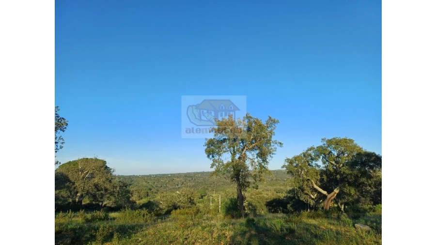 Terreno Agricola ou Rústico para Venda em Melides Foto 10