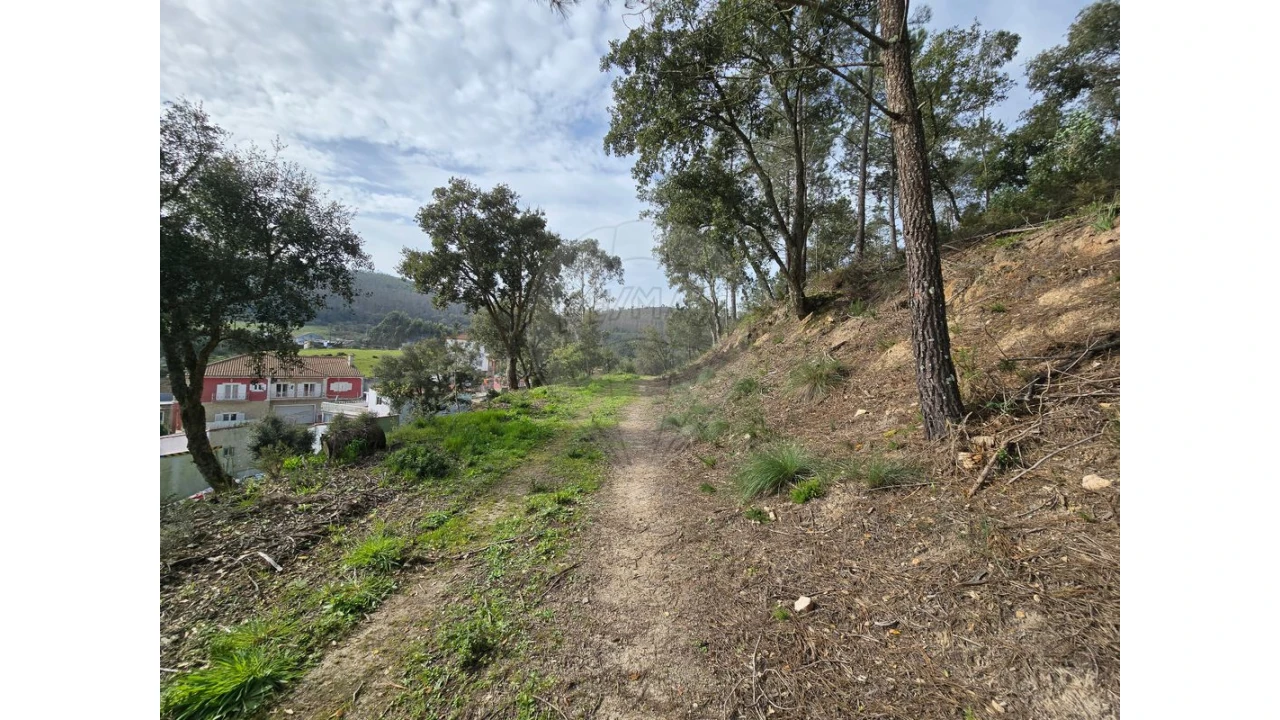 Terreno para Venda em Milharado Foto 13