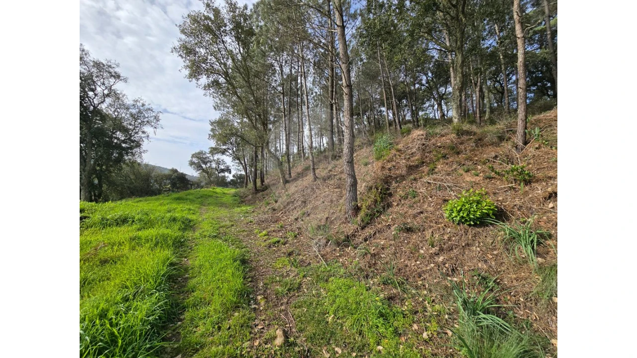 Terreno para Venda em Milharado Foto 9