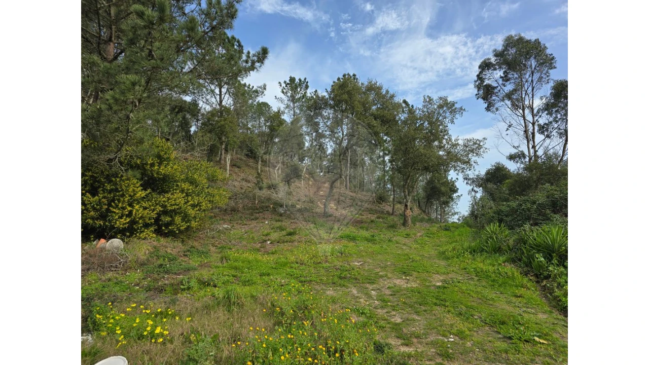 Terreno para Venda em Milharado Foto 15