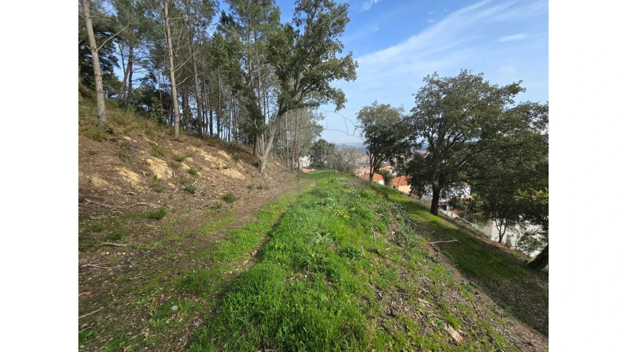 Terreno para Venda em Milharado Foto 12