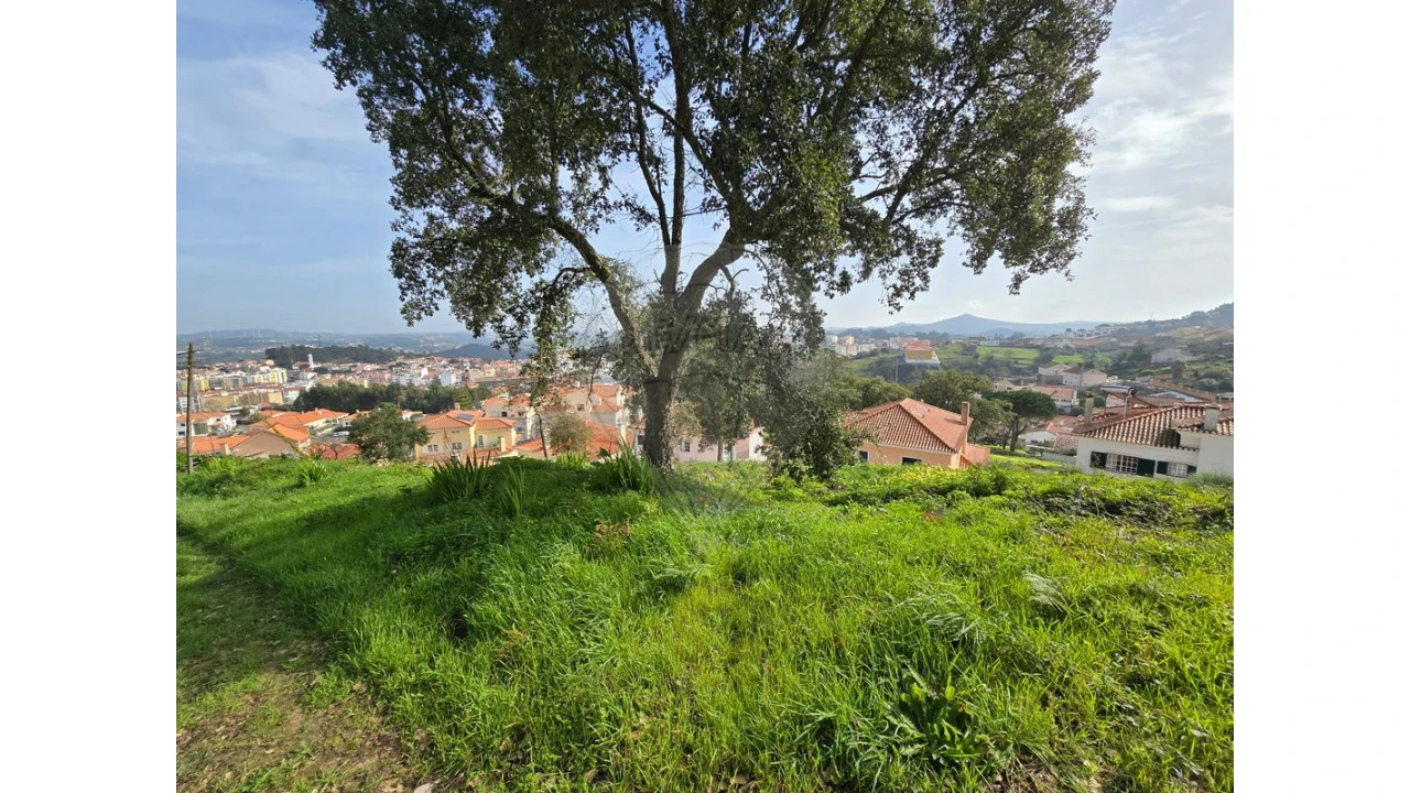 Terreno para Venda em Milharado Foto 6