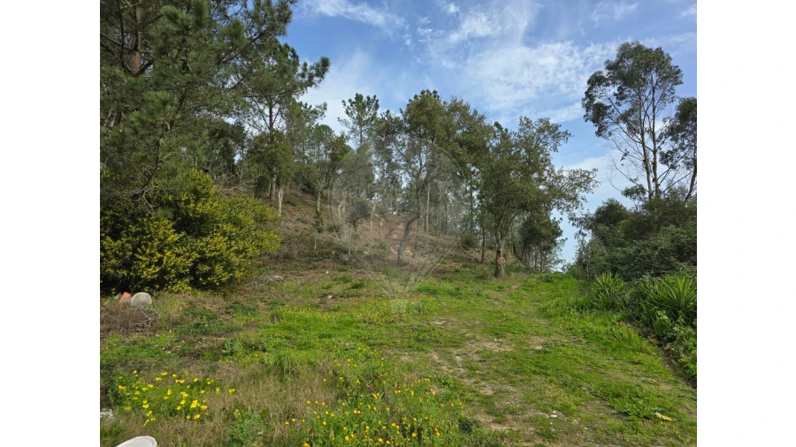 Terreno para Venda em Milharado Foto 15