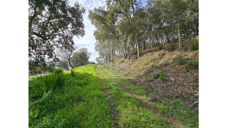 Terreno para Venda em Milharado Foto 3