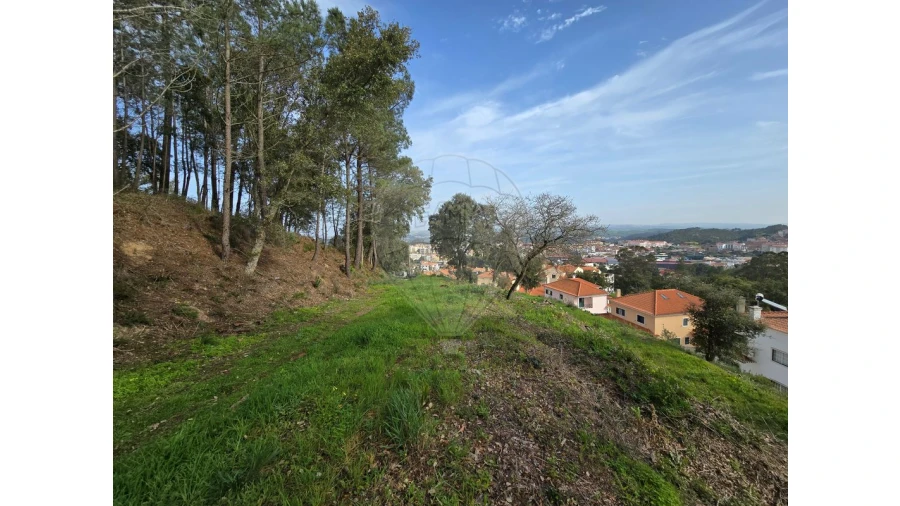 Terreno para Venda em Milharado Foto 10