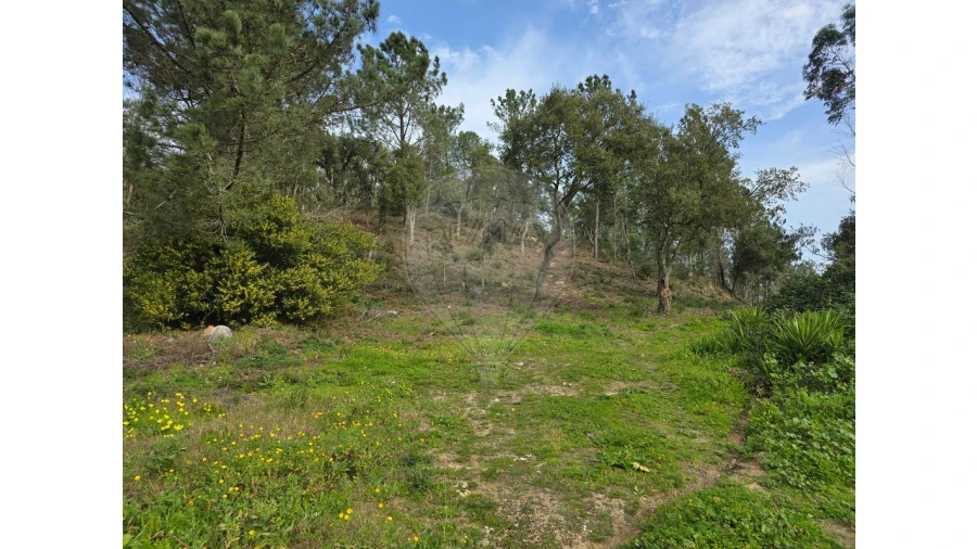 Terreno para Venda em Milharado Foto 14