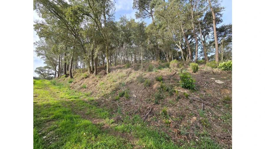 Terreno para Venda em Milharado Foto 4
