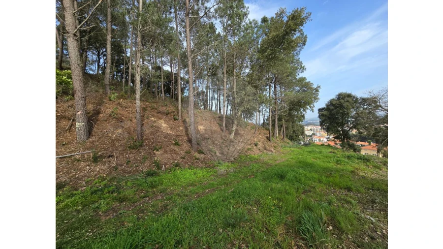 Terreno para Venda em Milharado Foto 11