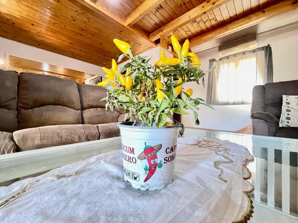 Apartamento para Venda em Quarteira Foto 4