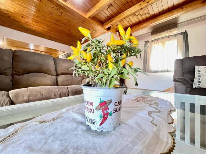 Apartamento para Venda em Quarteira Foto 4