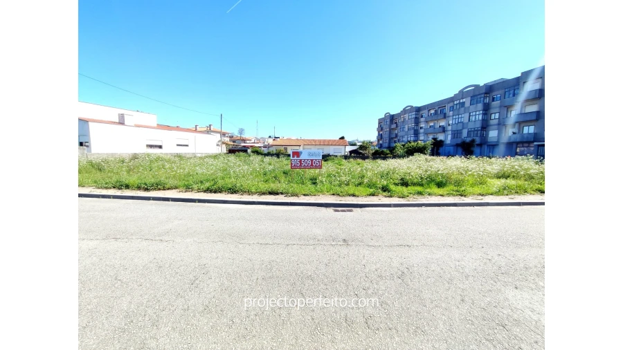 Terreno para Venda em São Paio de Oleiros Foto 1