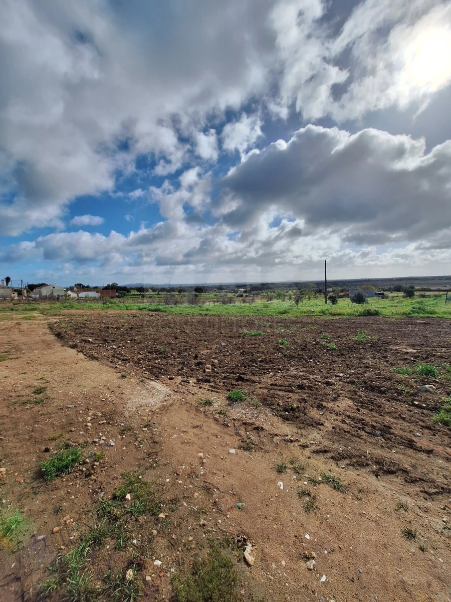 Terreno para Venda em Reguengos de Monsaraz Foto 6