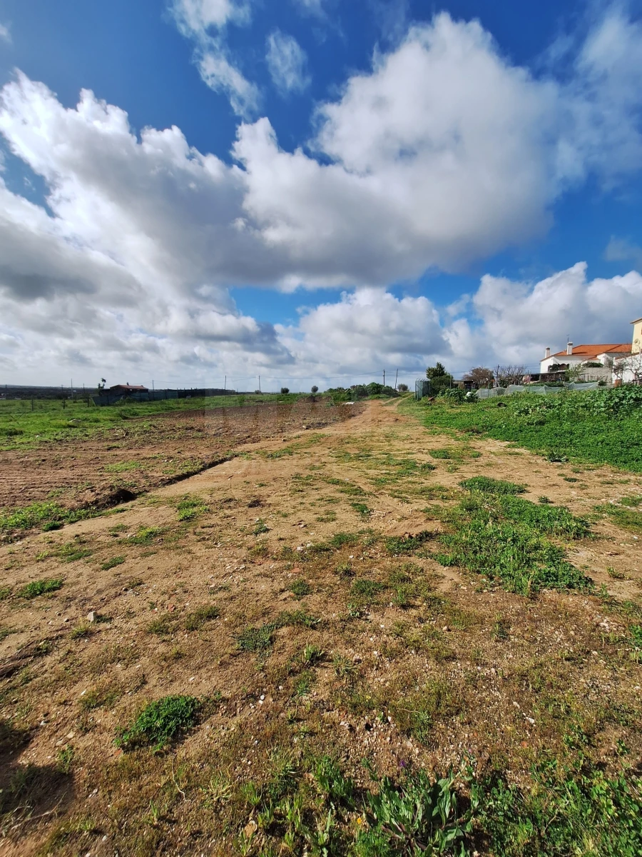 Terreno para Venda em Reguengos de Monsaraz Foto 3