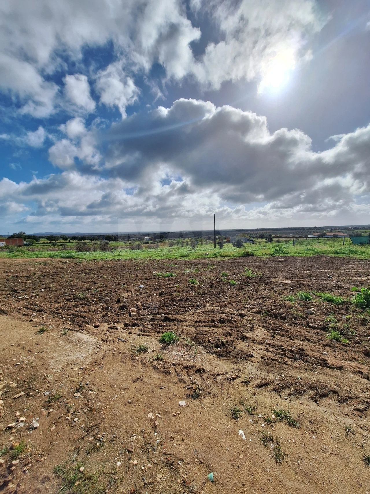 Terreno para Venda em Reguengos de Monsaraz Foto 5