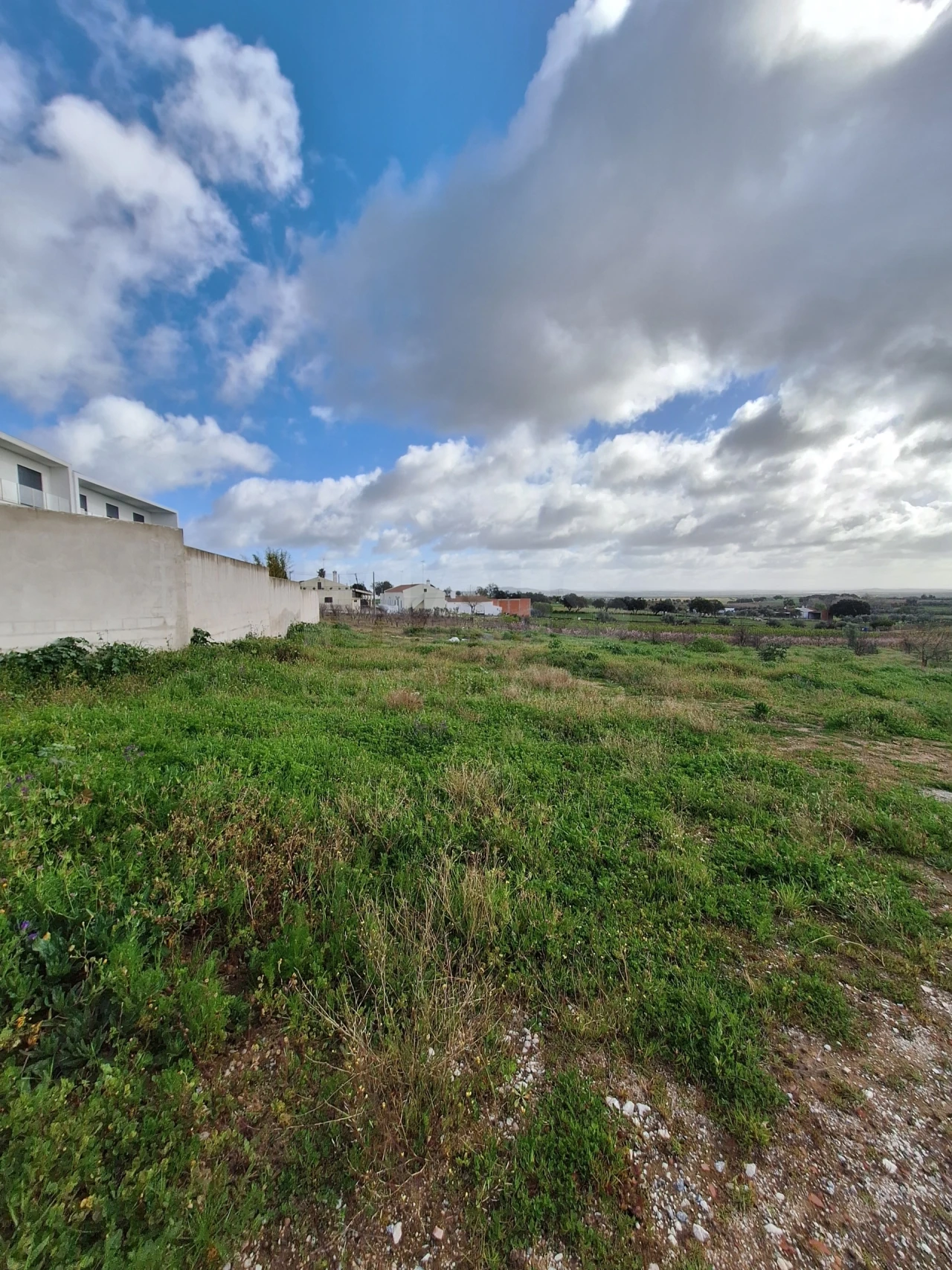 Terreno para Venda em Reguengos de Monsaraz Foto 4