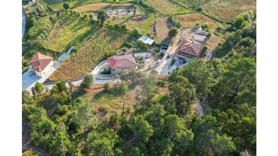 Terreno para Venda em Travanca Foto 3