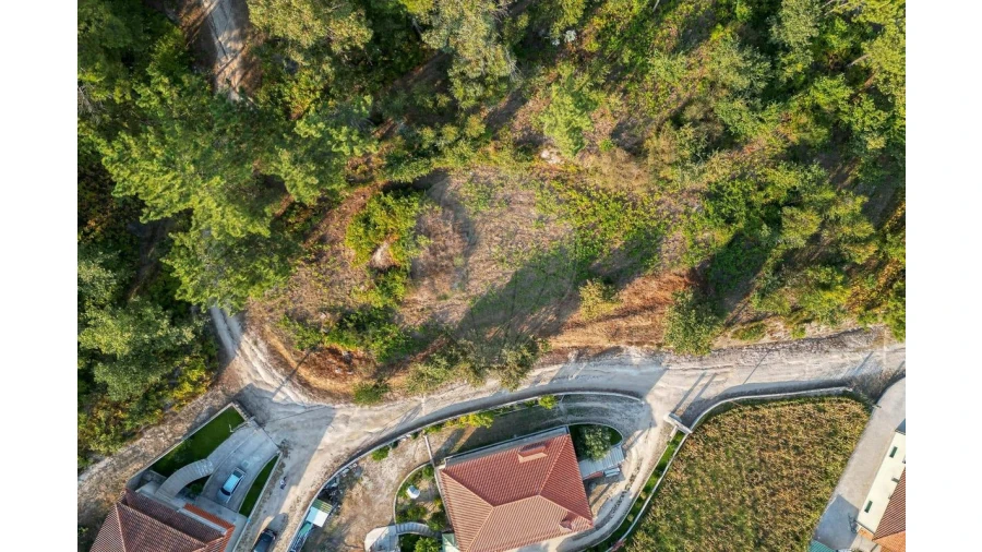 Terreno para Venda em Travanca Foto 2