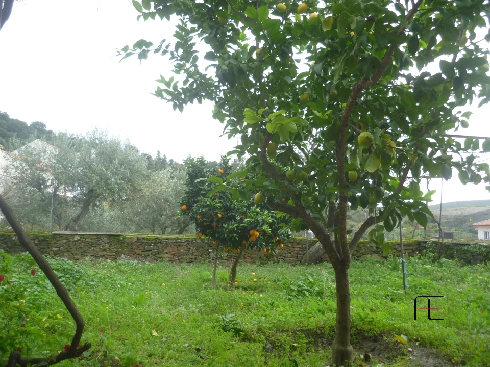 Moradia T3 para Venda em Açoreira Foto 18