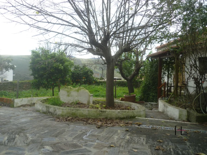 Moradia T3 para Venda em Açoreira Foto 20