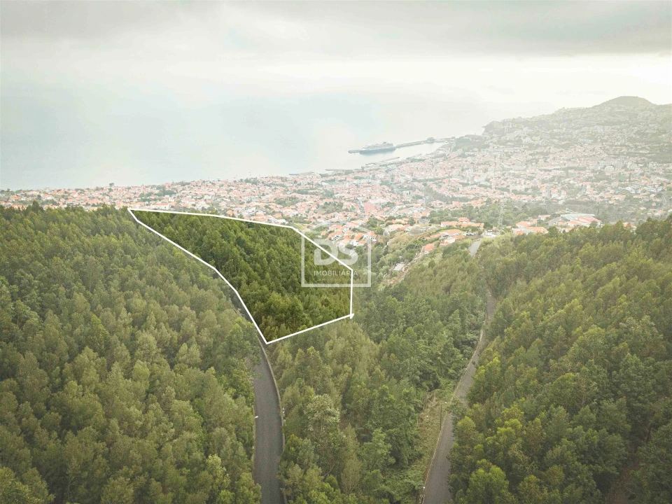 Terreno para Venda em Funchal (Santa Maria Maior) Foto 1