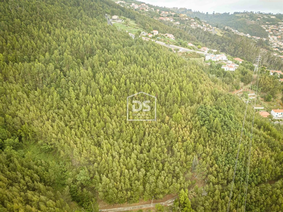 Terreno para Venda em Funchal (Santa Maria Maior) Foto 3