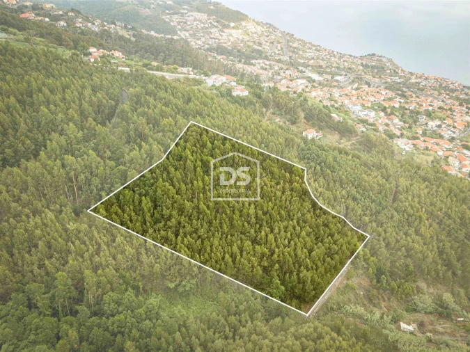 Terreno para Venda em Funchal (Santa Maria Maior) Foto 2