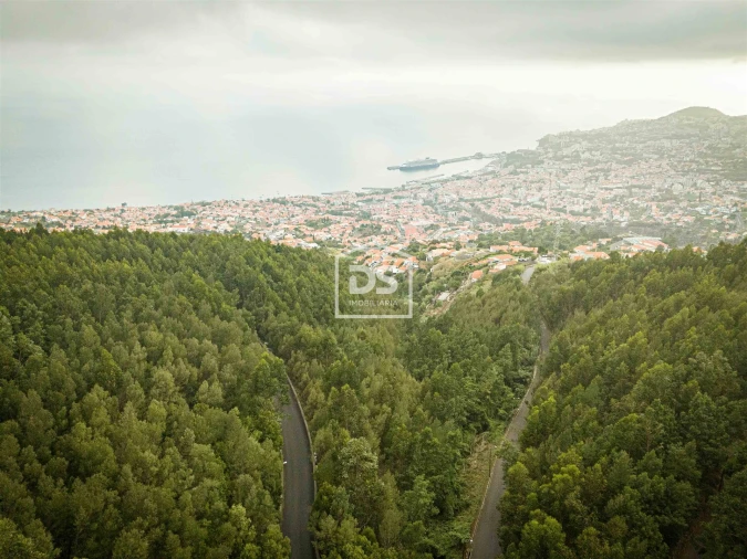 Terreno para Venda em Funchal (Santa Maria Maior) Foto 5