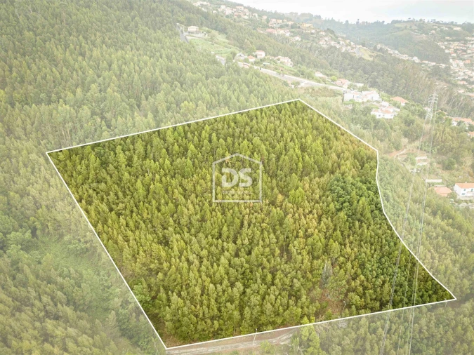 Terreno para Venda em Funchal (Santa Maria Maior) Foto 4