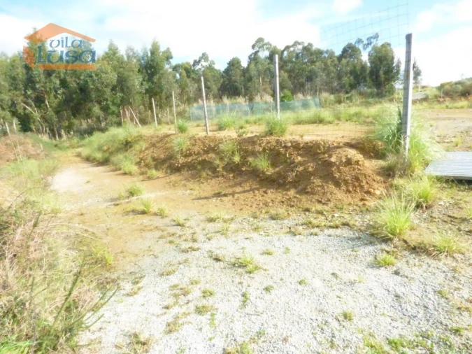 Terreno Agricola ou Rústico para Arrendamento em São João de Ver Foto 1
