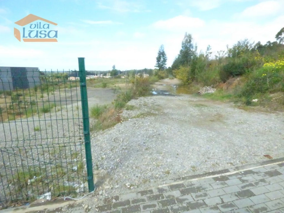 Terreno Agricola ou Rústico para Venda em São João de Ver Foto 3