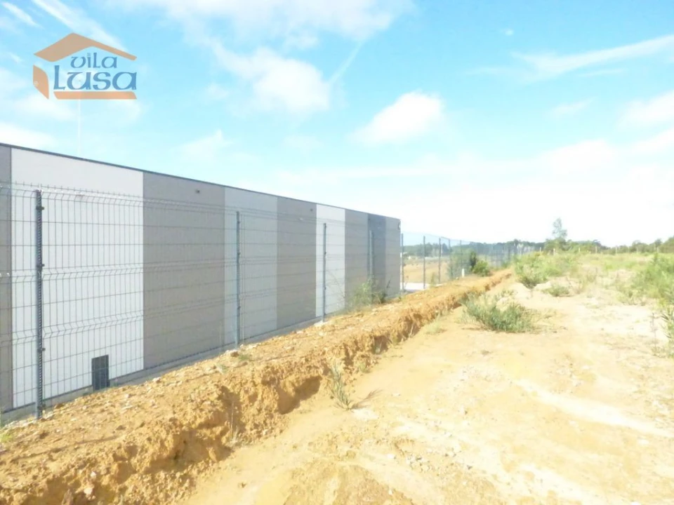 Terreno Agricola ou Rústico para Venda em São João de Ver Foto 9