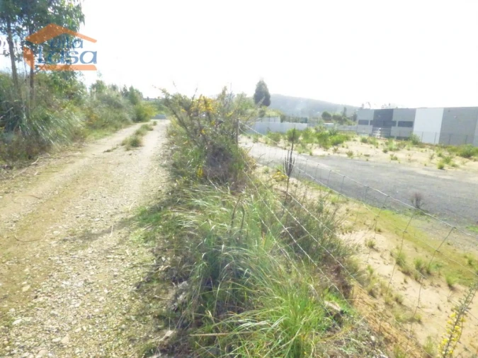 Terreno Agricola ou Rústico para Venda em São João de Ver Foto 6