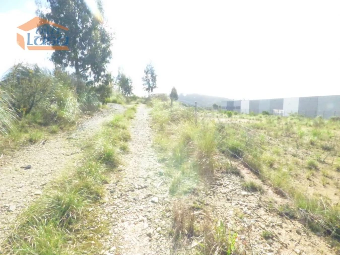 Terreno Agricola ou Rústico para Venda em São João de Ver Foto 14