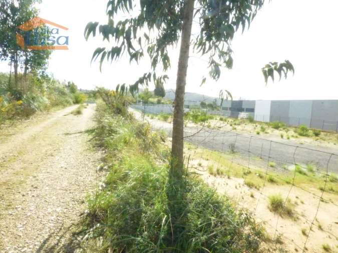 Terreno Agricola ou Rústico para Venda em São João de Ver Foto 15